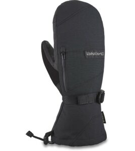 DA KINE Leather Titan Gore-Tex Mitt