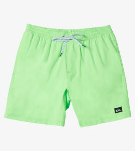 QUIKSILVER Everyday Volley Green Gecko